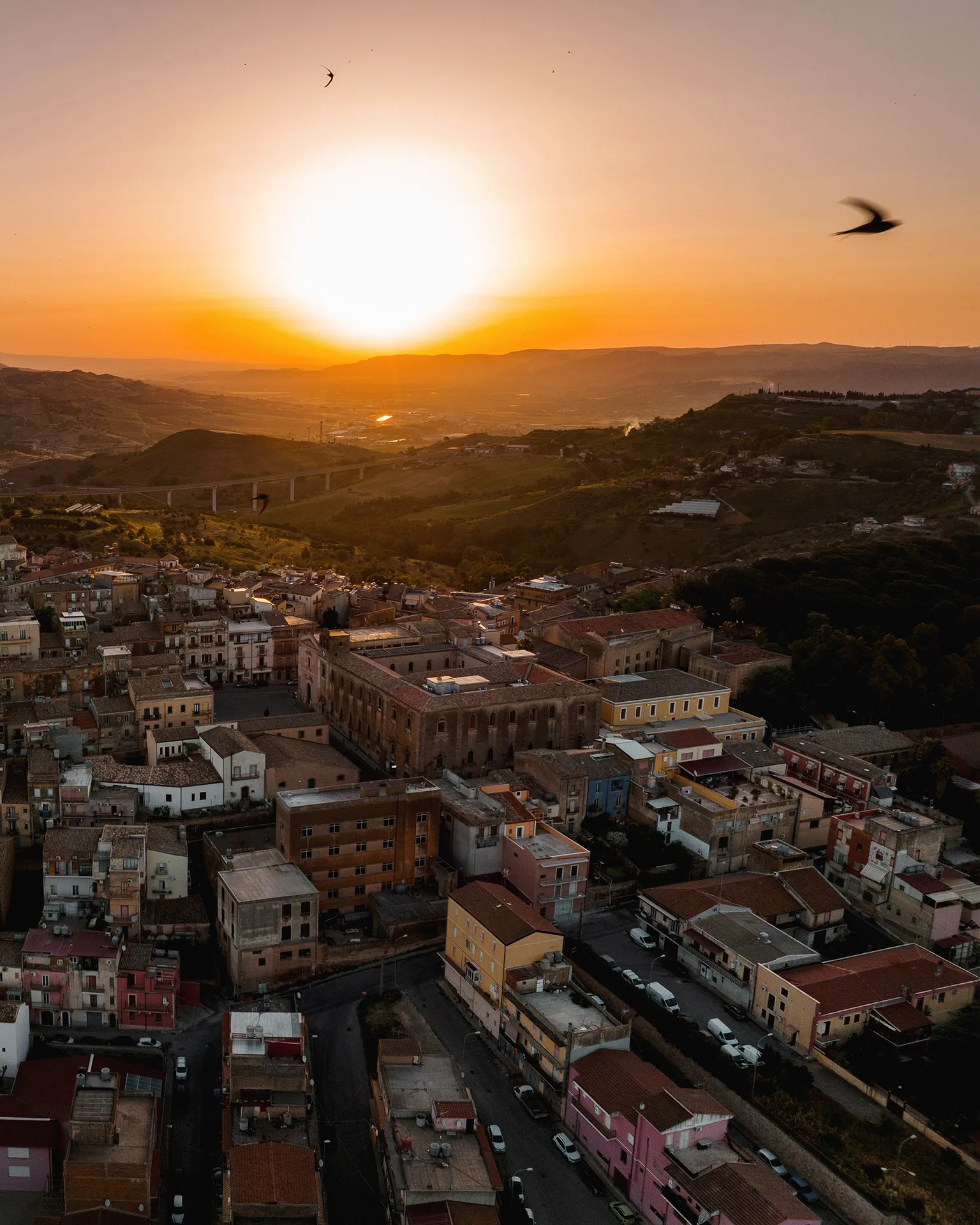 Solovoi - The Sicilian Story photograph