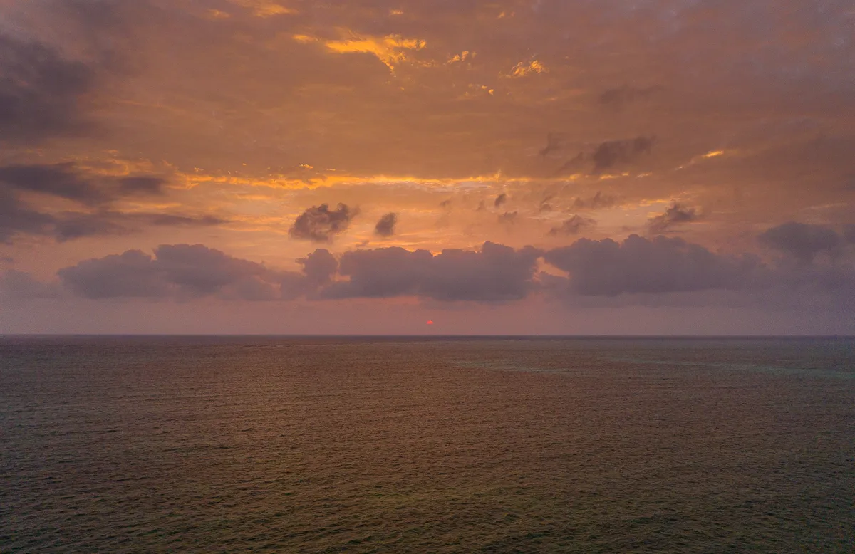 The Beauty of Zanzibar photograph