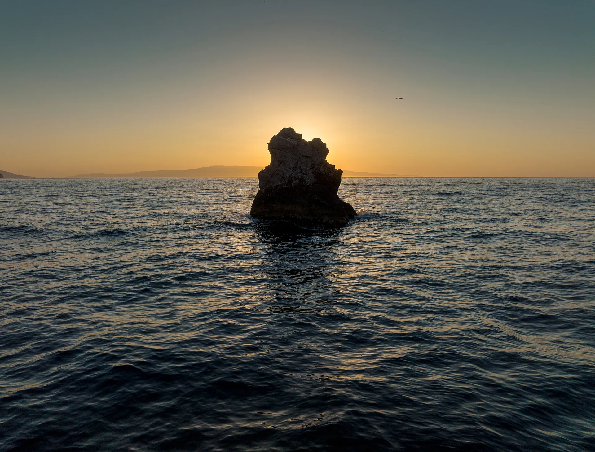 Solovoi - The Sicilian Story photograph