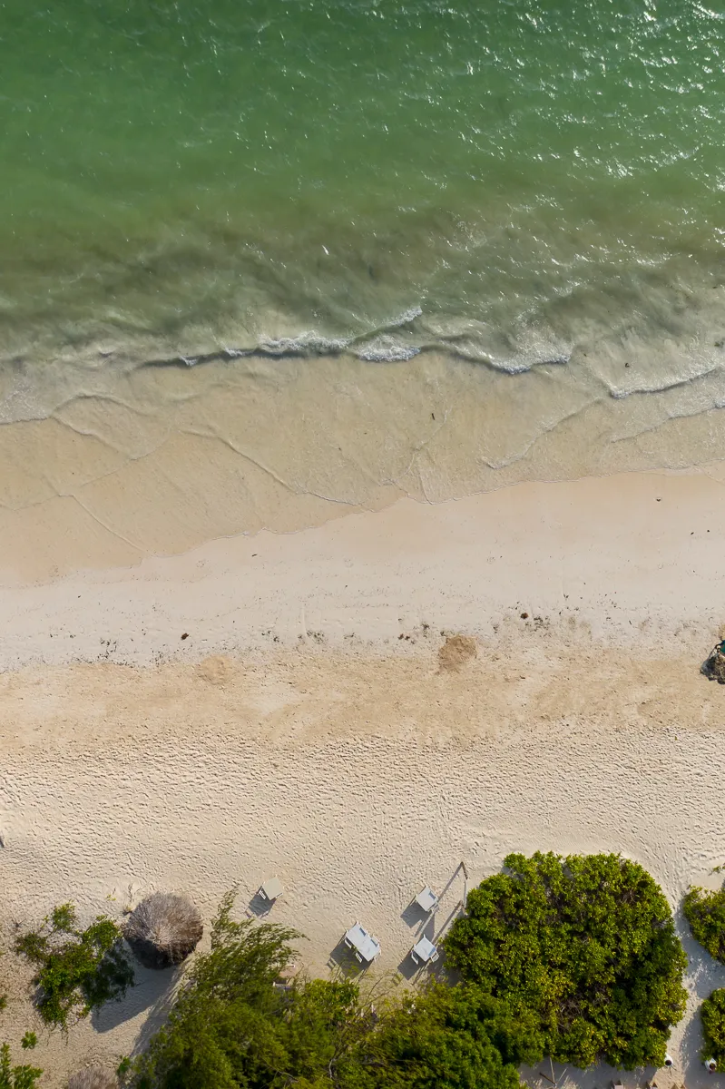 The Beauty of Zanzibar photograph