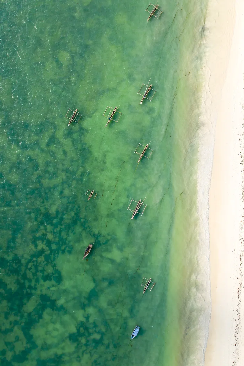 The Beauty of Zanzibar photograph