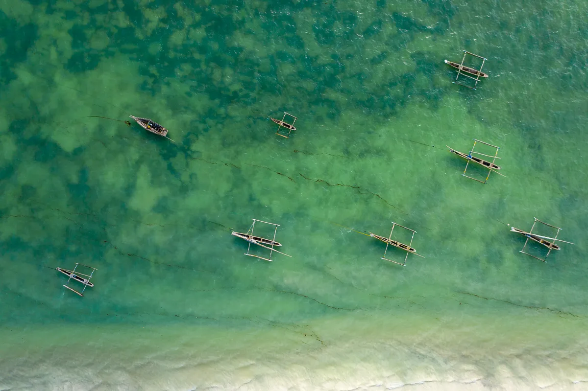 The Beauty of Zanzibar photograph