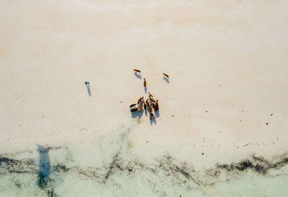 The Beauty of Zanzibar photograph