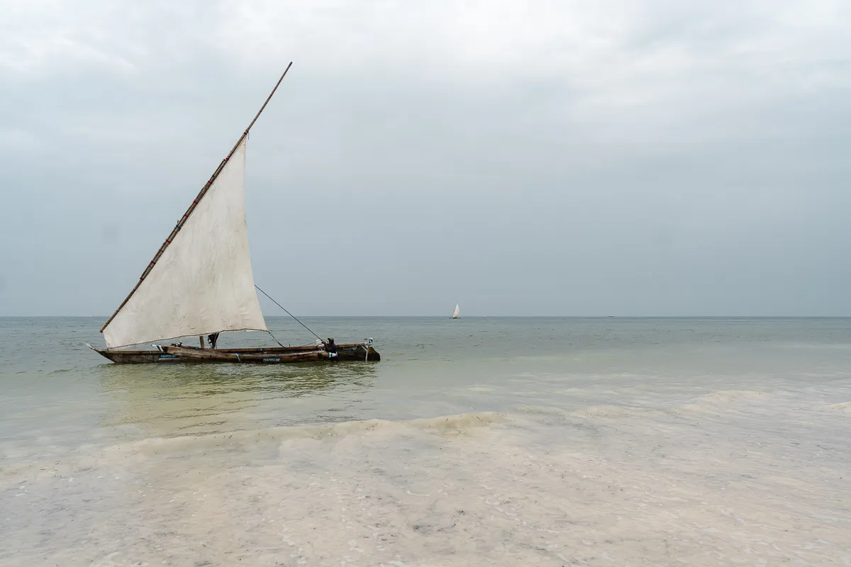 The Beauty of Zanzibar photograph