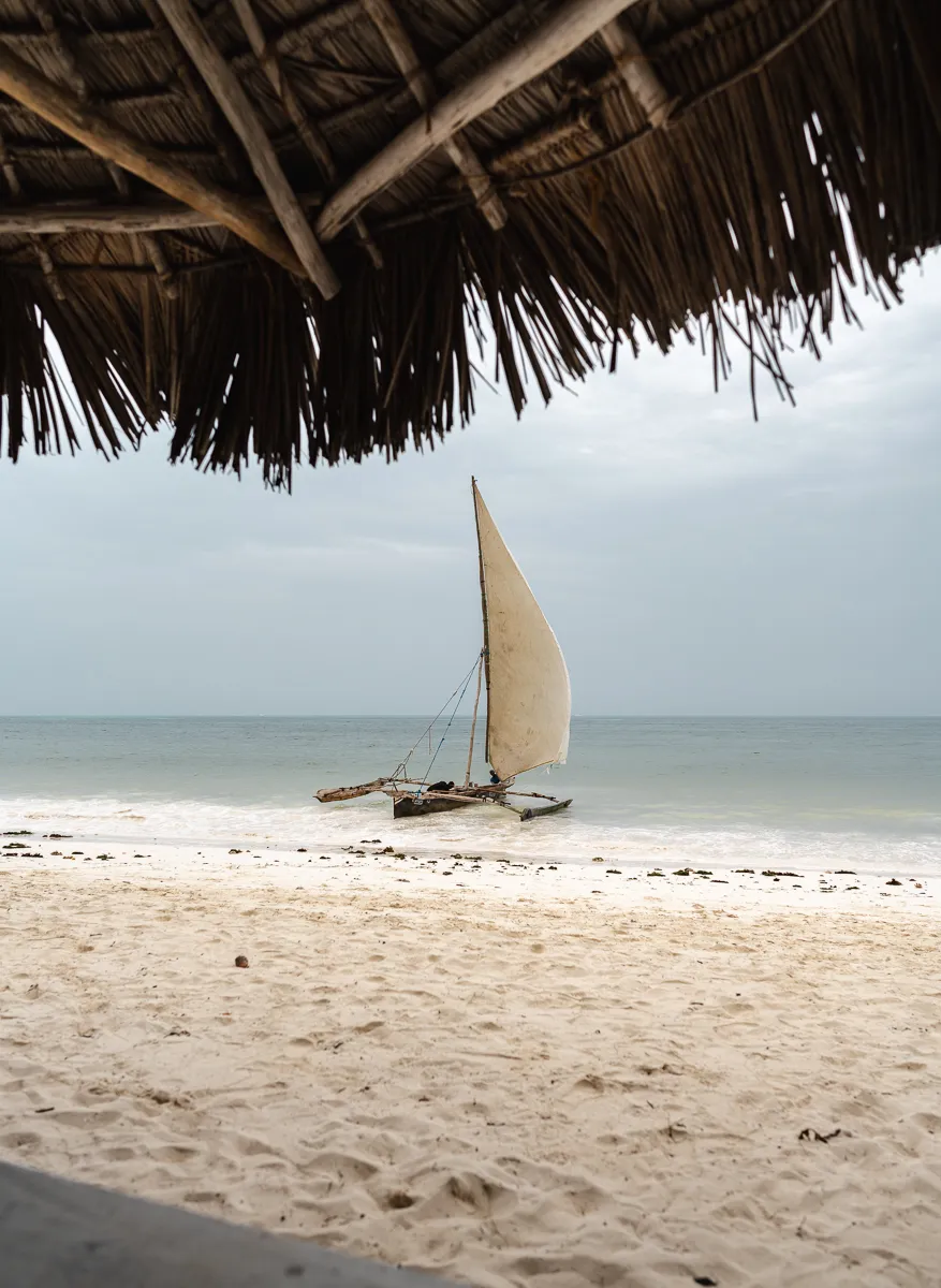 The Beauty of Zanzibar photograph