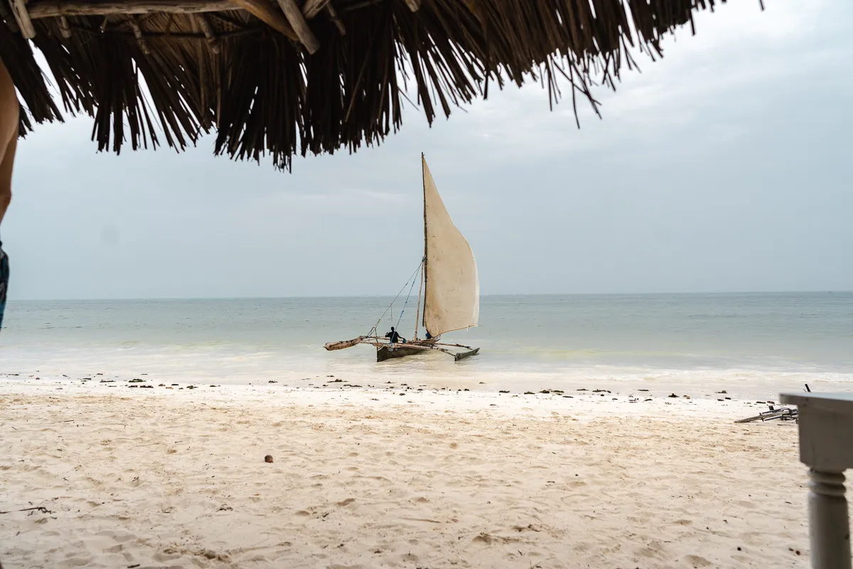 The Beauty of Zanzibar photograph