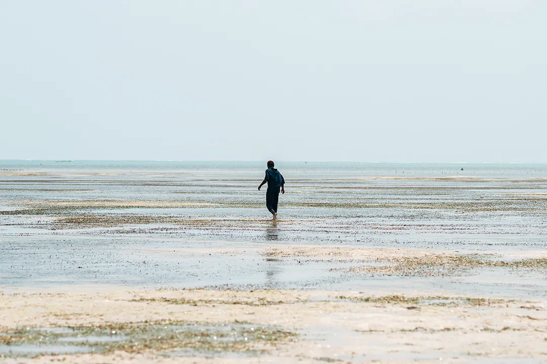 The Beauty of Zanzibar photograph