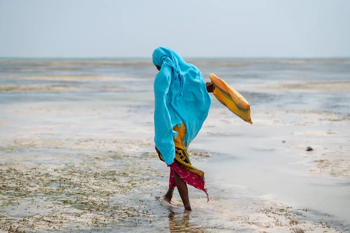 The Beauty of Zanzibar photograph