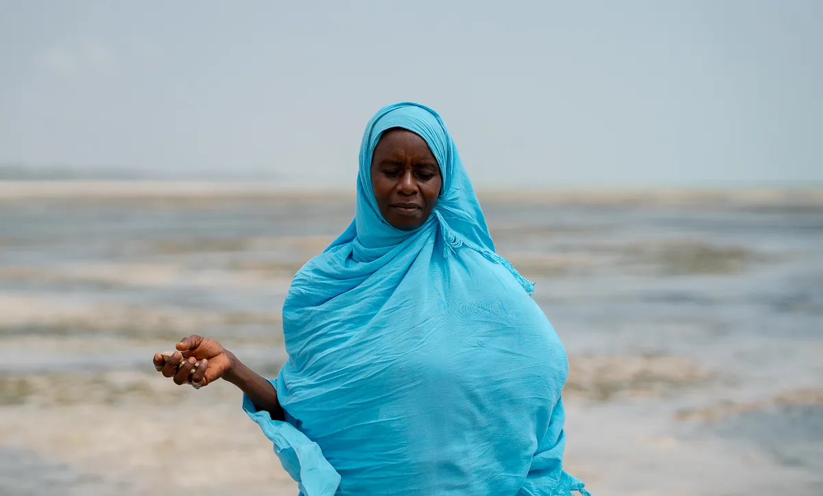 The Beauty of Zanzibar photograph