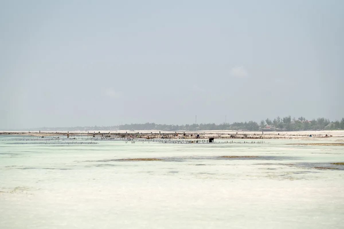 The Beauty of Zanzibar photograph