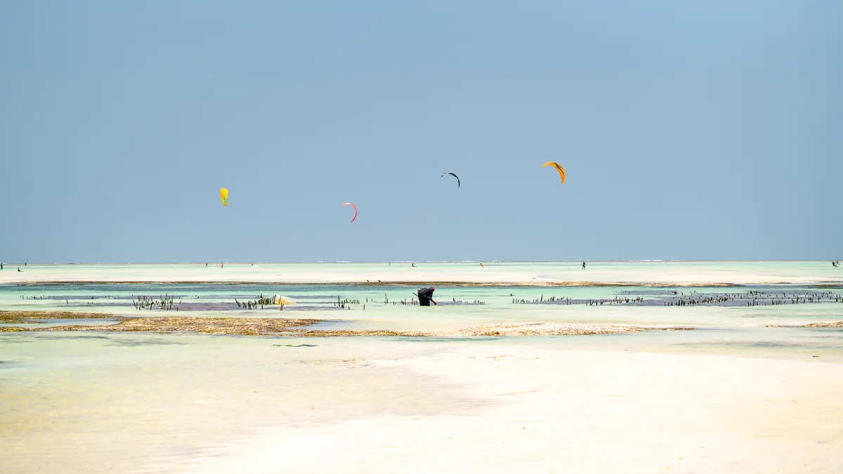 The Beauty of Zanzibar photograph