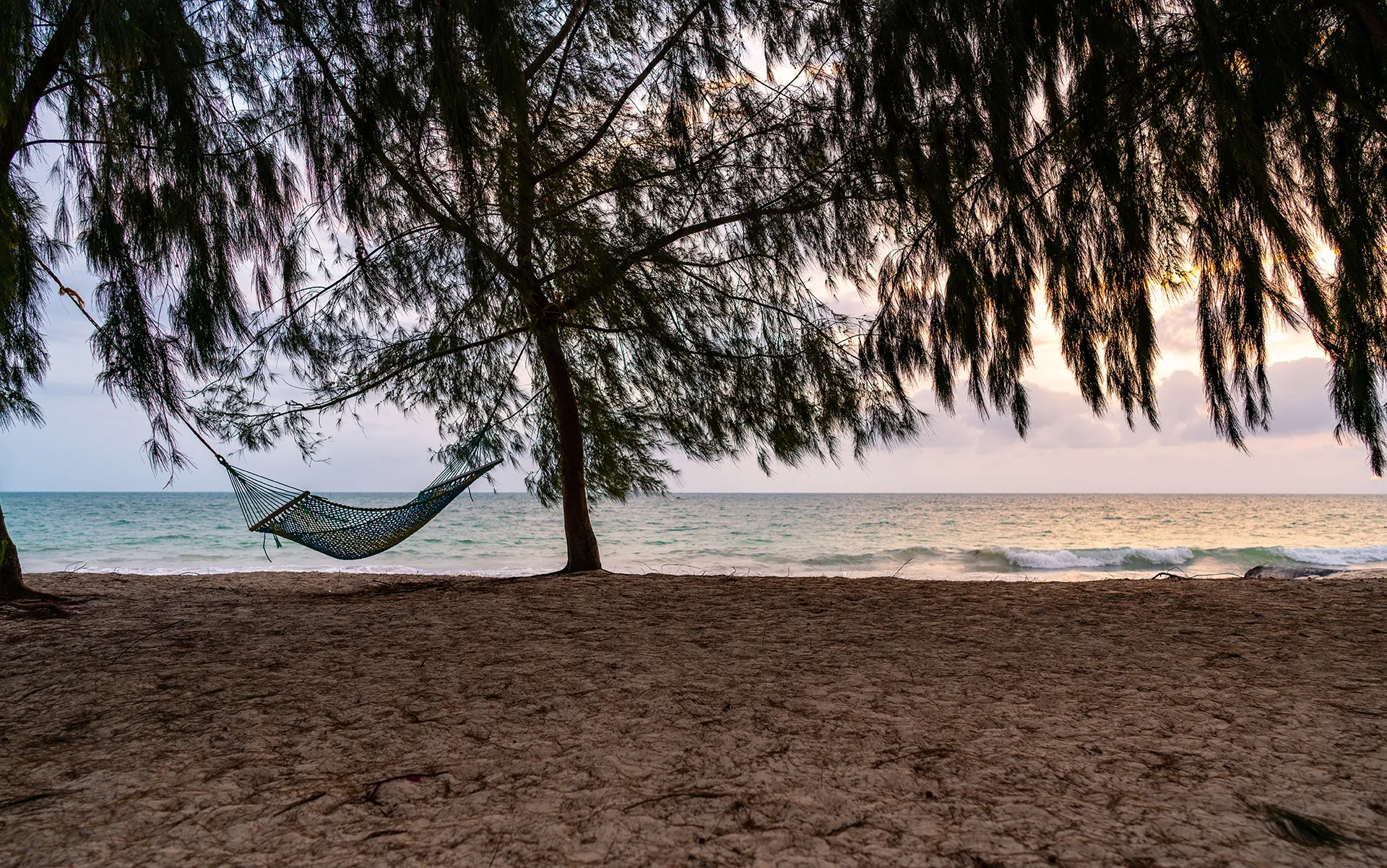 The Beauty of Zanzibar photograph