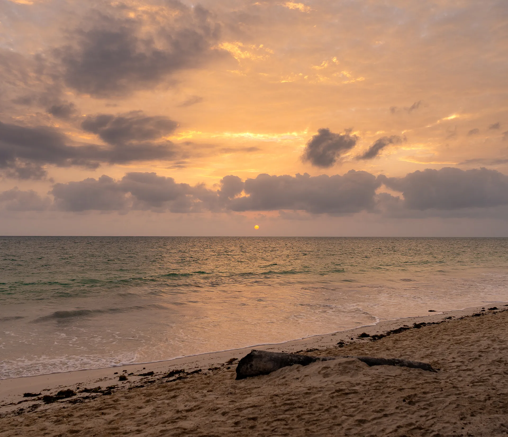 The Beauty of Zanzibar photograph