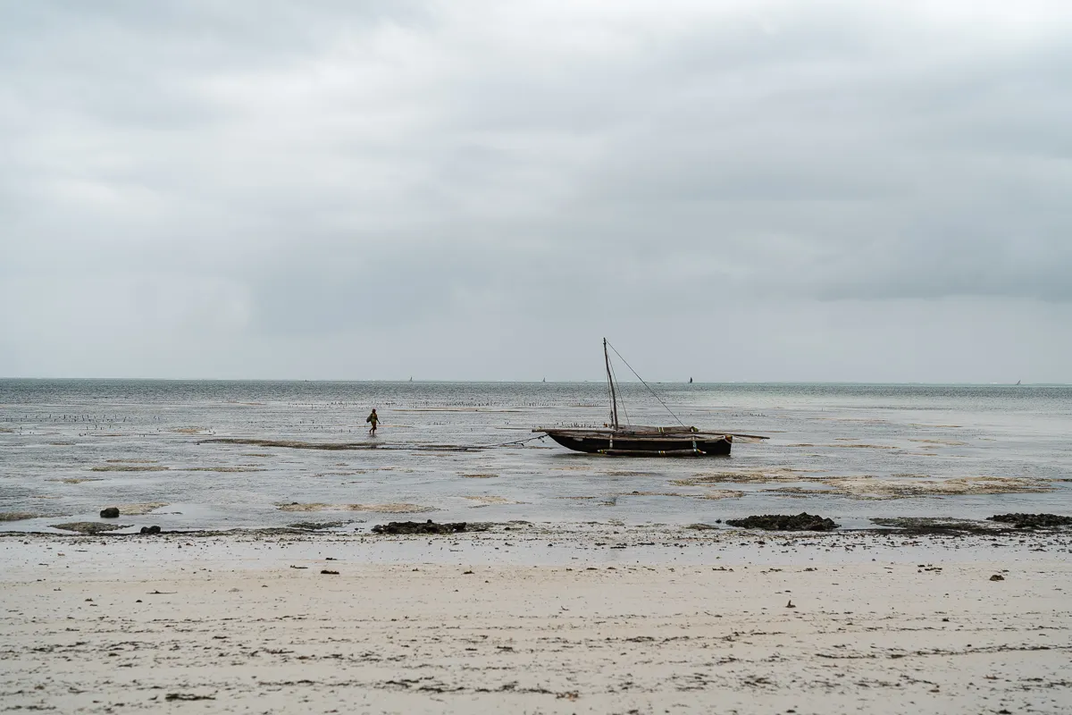 The Beauty of Zanzibar photograph