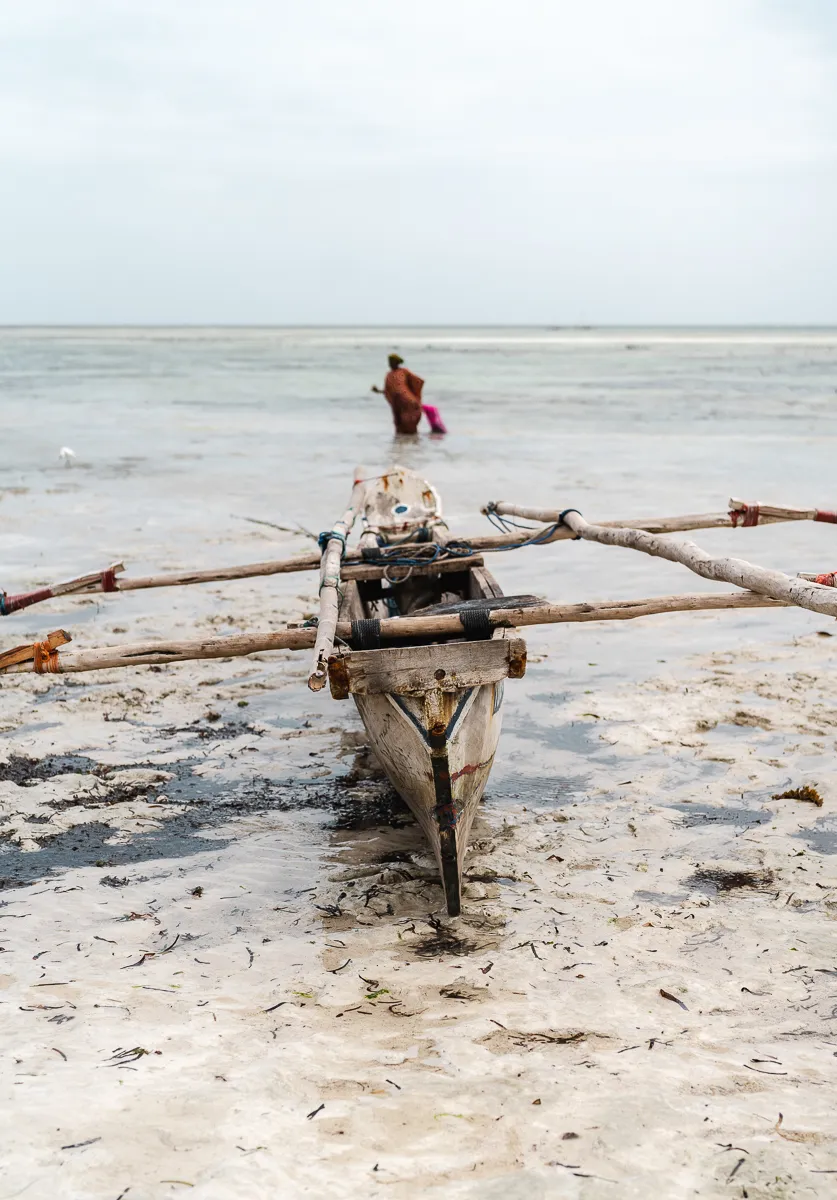 The Beauty of Zanzibar photograph