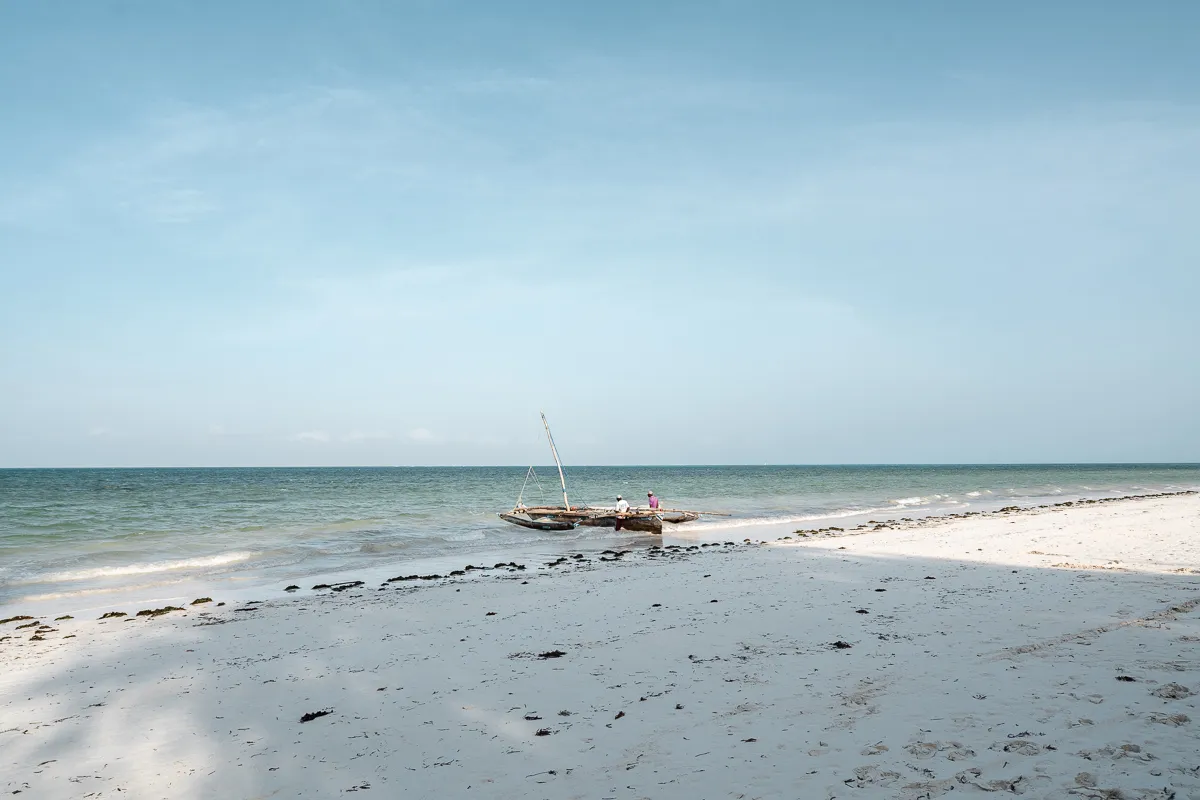 The Beauty of Zanzibar photograph